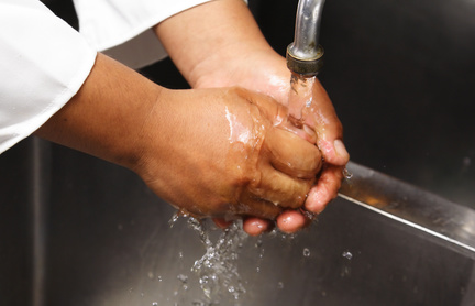chef washing hand